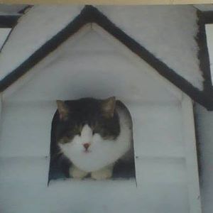 Meet your Posher, Denise